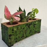 Cork Planter